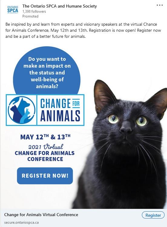 LinkedIn event ad example from Ontario SPCA