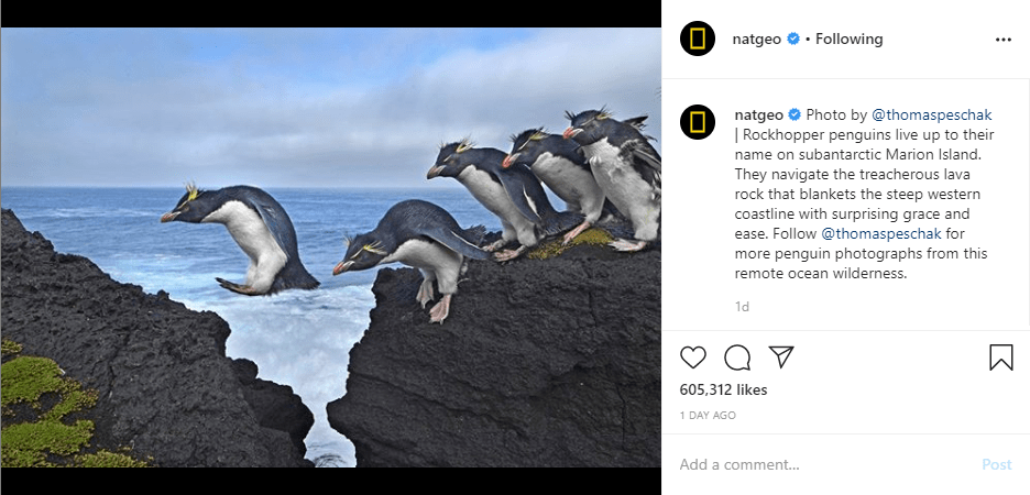 NatGeo posts informational content