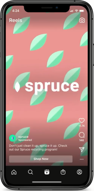 Instagram Reels ad for Spruce